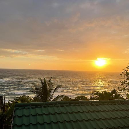 Villa Rasta - Ocean View Bungalows Port Antonio Kültér fotó