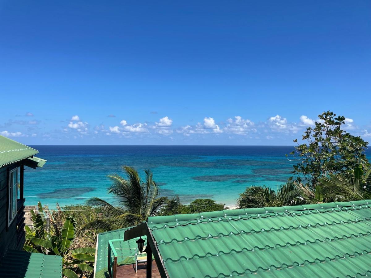 Villa Rasta - Ocean View Bungalows Port Antonio Kültér fotó